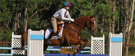 Image of horse and rider