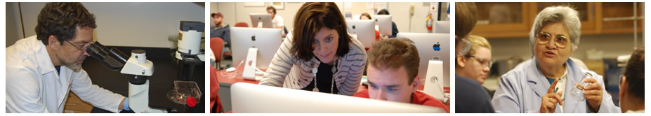Banner image for Math,Science and Technology