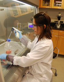 Chemistry Lab