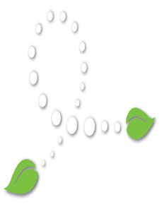 Sustainability