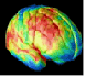 Jonathan Karp: How the brain learns icon