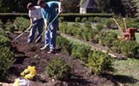 Image of shrubs and men working the dirt