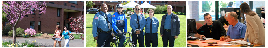 Banner image for Security and Safety