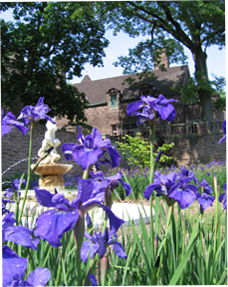 Image of Tyler Gardens Flower