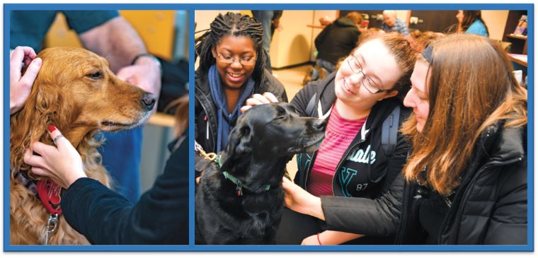 Two pictures with dogs, their handler's and students interacting 