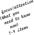 focus/attention (what you need to know now) 7-9 items