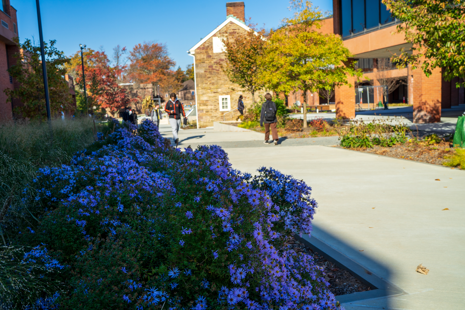 students walking on campus on a sunny day
