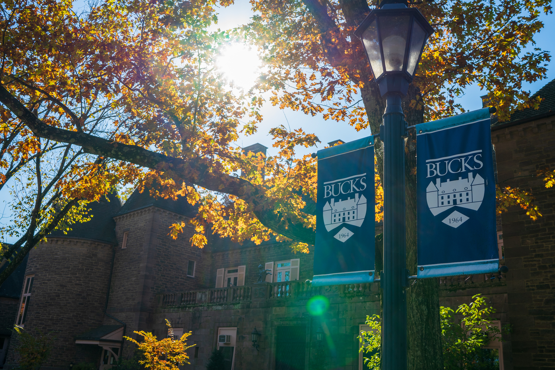 tyler hall bucks flags in the sun