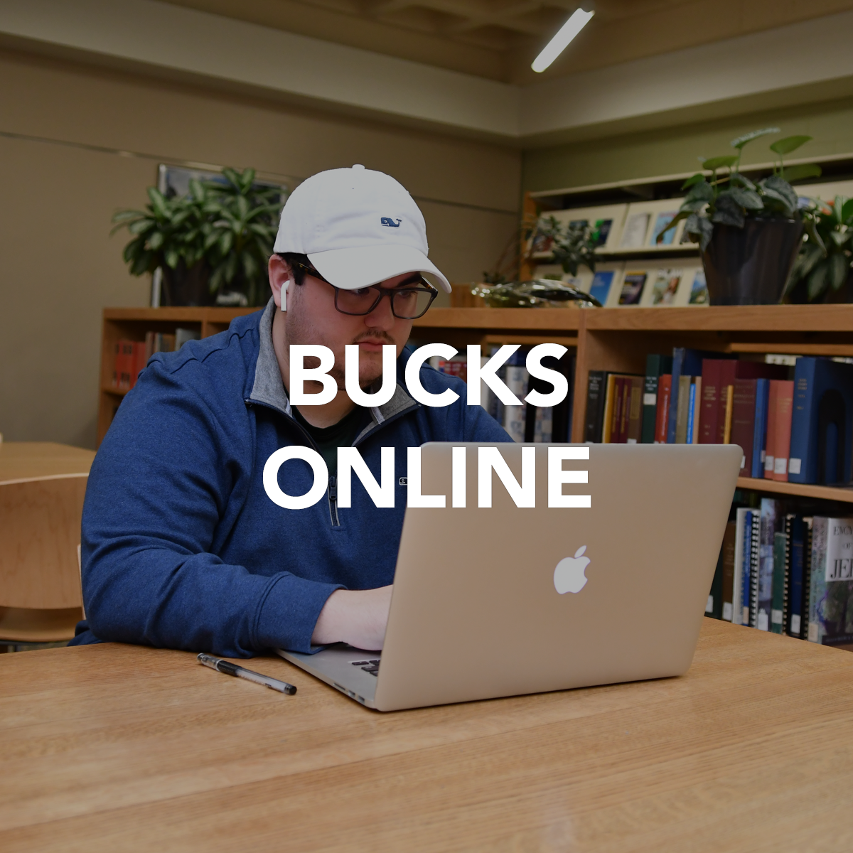 bucks online