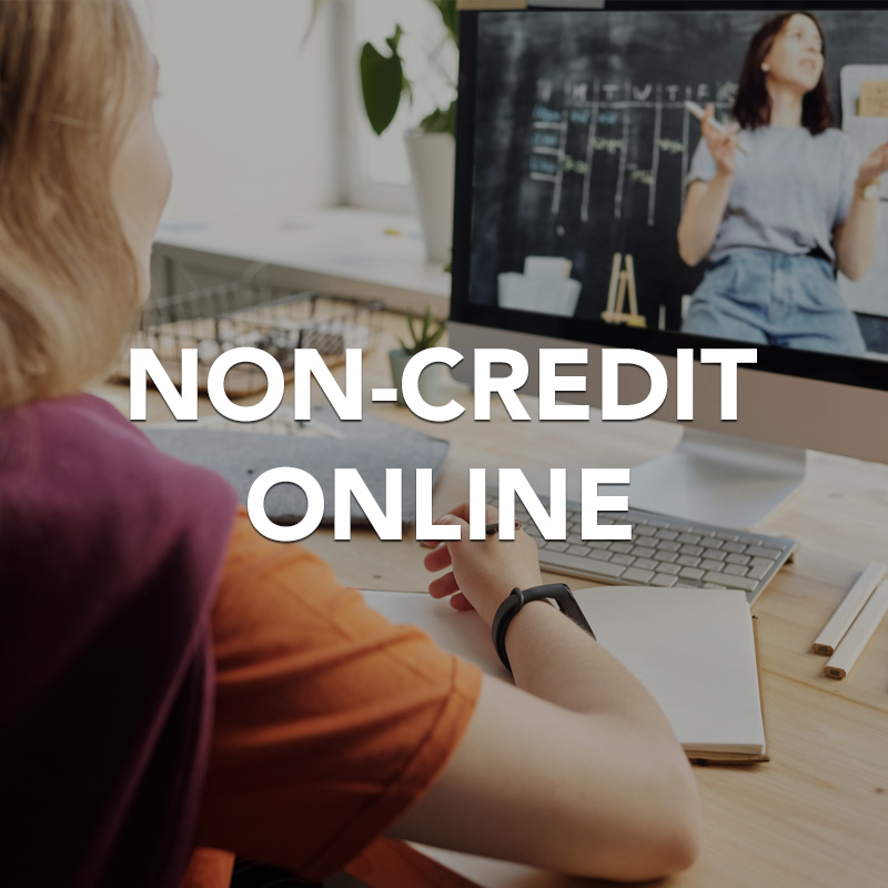 non-credit online