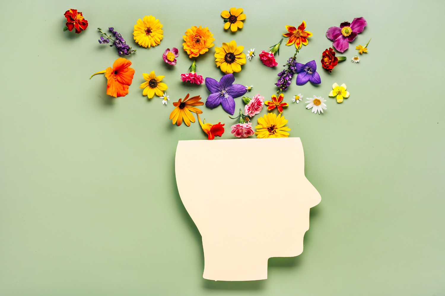 Illustration of a human head silhouette with colorful flowers blooming from the top against a light green background.