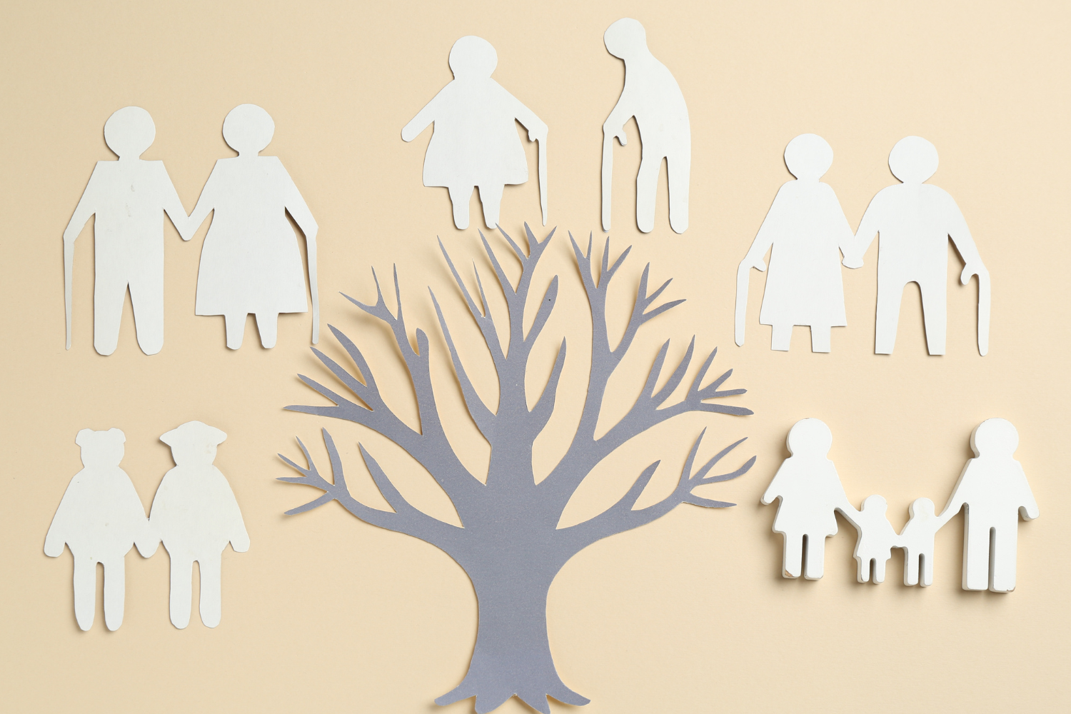 picture of a family tree