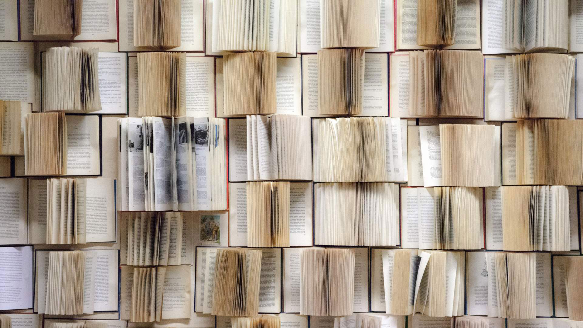 Open faced books on wall