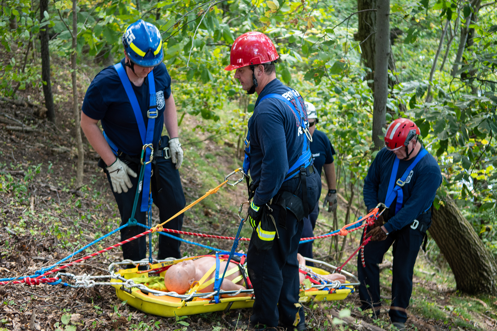 Four firefighters training in the woods. 